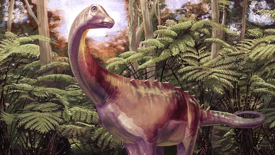 Fossil Sleeping in Storage for Decades Turns Out to Be First Dinosaur Found in Antarctica