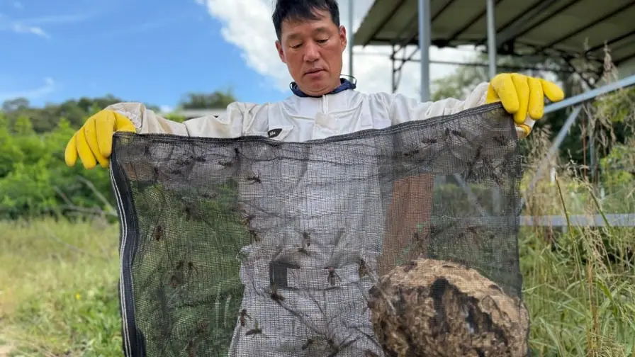 Why Japanese Trail Signs Warn Hikers Against Black Clothes in Autumn cover