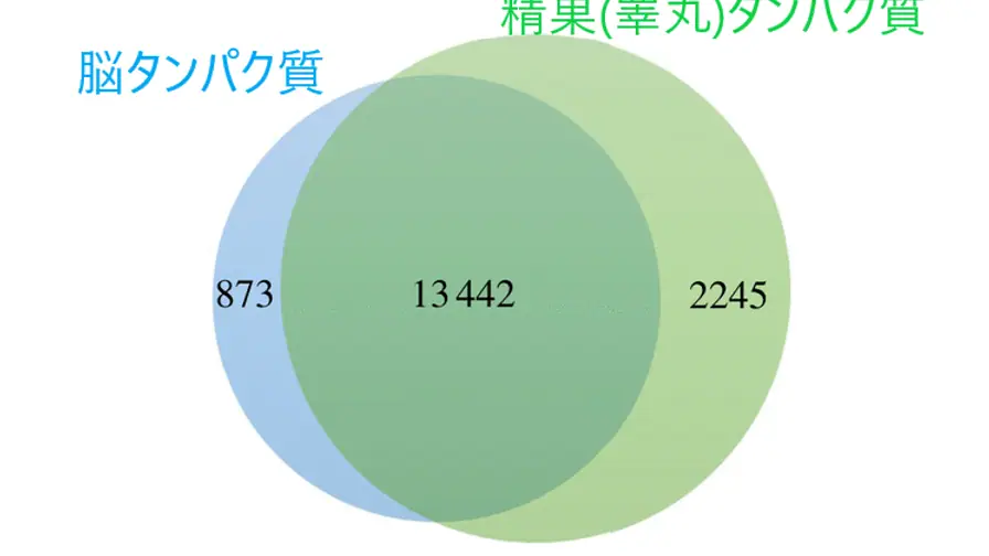 コケが脳のように電気信号を出す？ 科学者が発見した不思議な動き