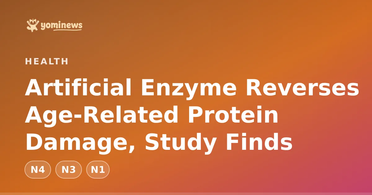 Artificial Enzyme Reverses Age-Related Protein Damage, Study Finds