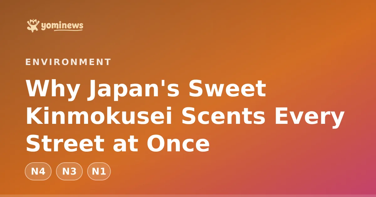 Why Japan's Sweet Kinmokusei Scents Every Street at Once